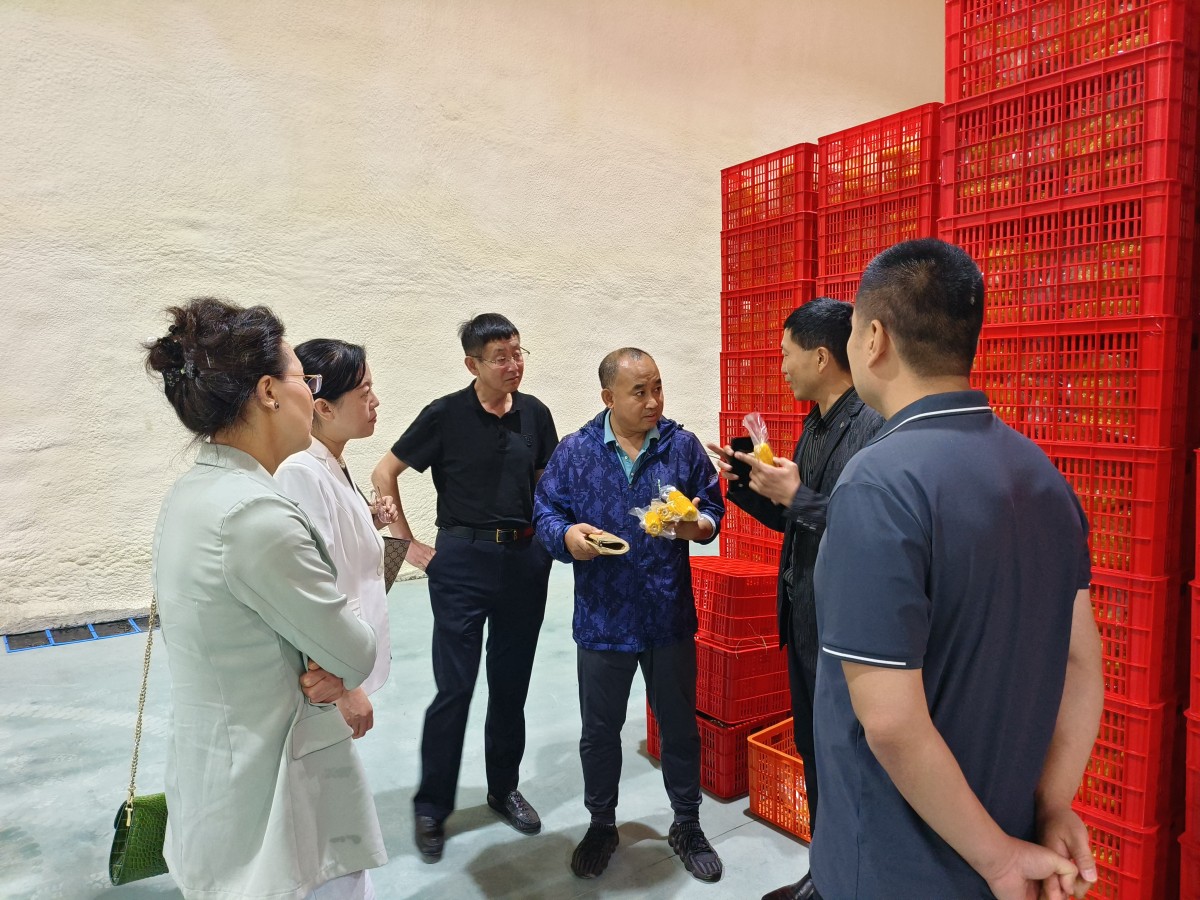 1694241082215041.jpg 4.jpg