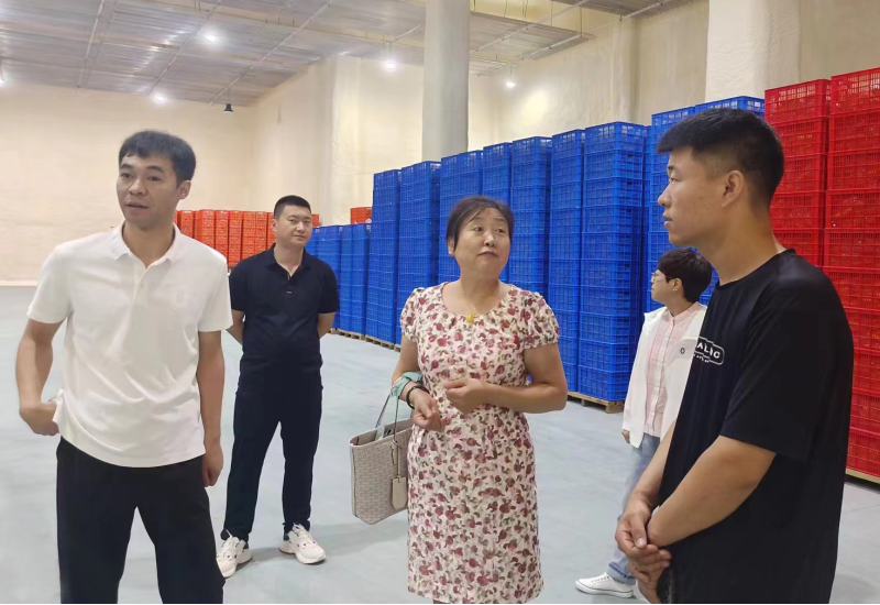 【喜報】時光良田鮮食玉米順利通過綠色食品年度檢查