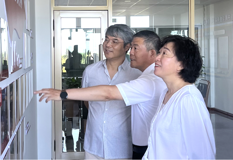 哈爾濱高新技術產(chǎn)業(yè)開發(fā)區(qū)管委會專職副主任王虹到利如金農(nóng)業(yè)集團遠海鮮食玉米加工廠考察調研